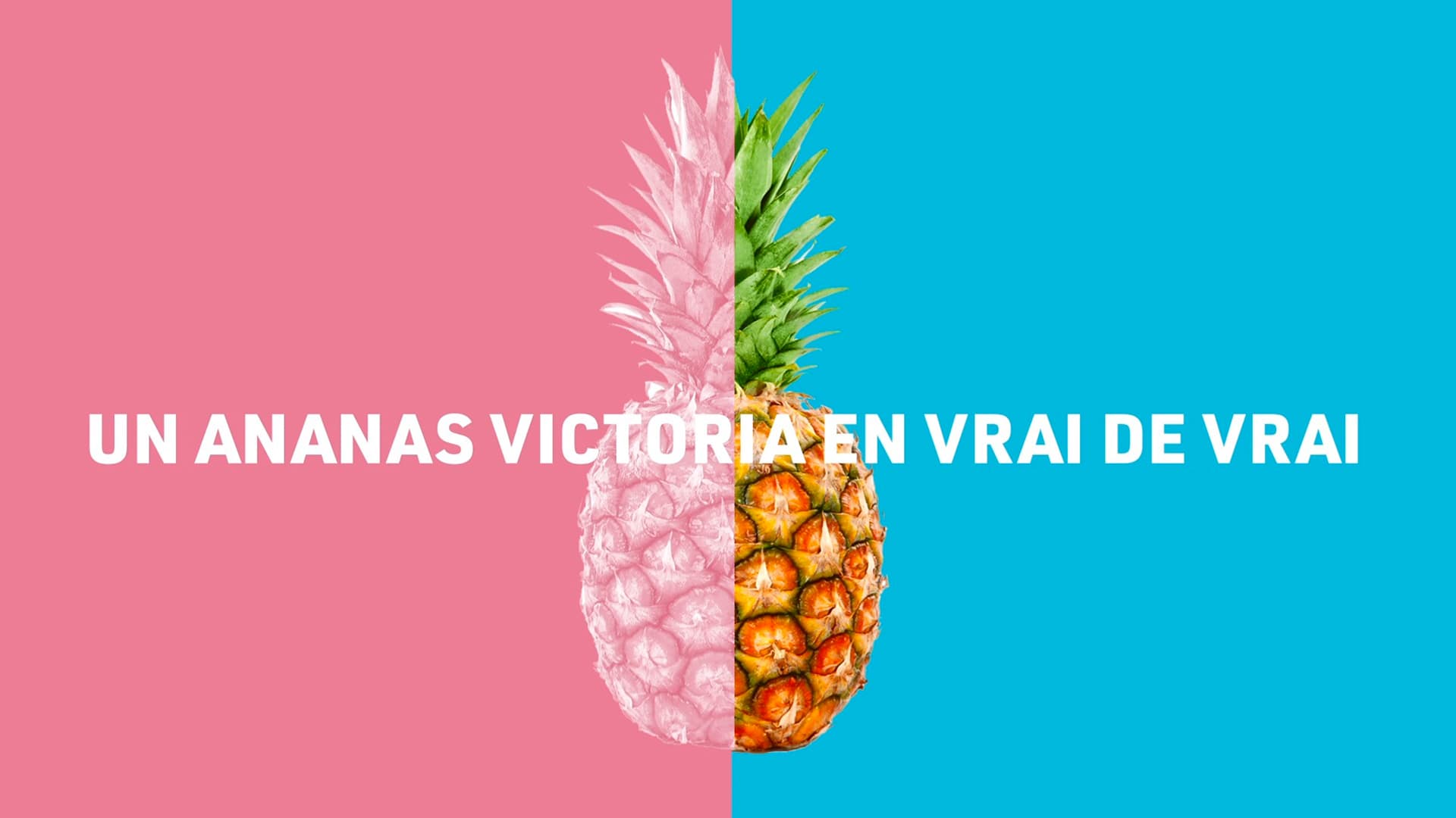 la livraison d’ananas par l’Ile de la Réunion aux « appétants touristes ». une vraie « big idea » de retargeting en boîte aux lettres qui a vraiment cartonné sur les réseaux sociaux.